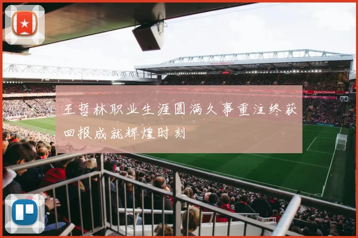 王哲林职业生涯圆满久事重注终获回报成就辉煌时刻